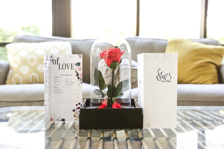 017-%e0%b8%9a%e0%b8%a3%e0%b8%a3%e0%b8%a2%e0%b8%b2%e0%b8%81%e0%b8%b2%e0%b8%a8%e0%b8%a0%e0%b8%b2%e0%b8%a2%e0%b9%83%e0%b8%99%e0%b8%87%e0%b8%b2%e0%b8%99-shes-mercedessense-of-love-by-benz-ttc1